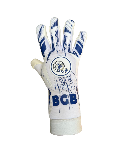 ACADÉMIE DES ALPILLES