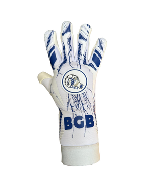 ACADÉMIE DES ALPILLES