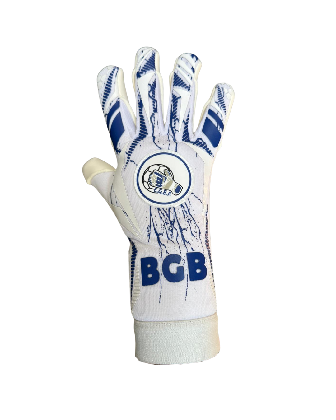 ACADÉMIE DES ALPILLES